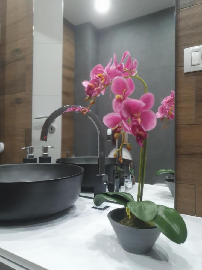 Ale House Apartman Nagyvárad Kültér fotó